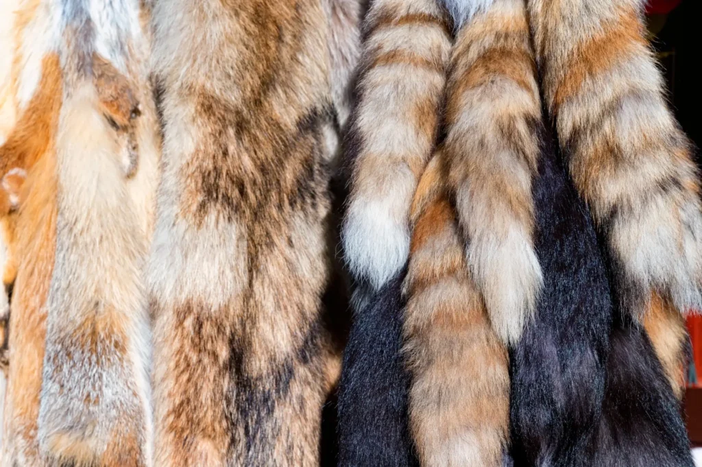 close up of fox tail souvenirs at oriental marketp 2024 10 13 09 06 53 utc