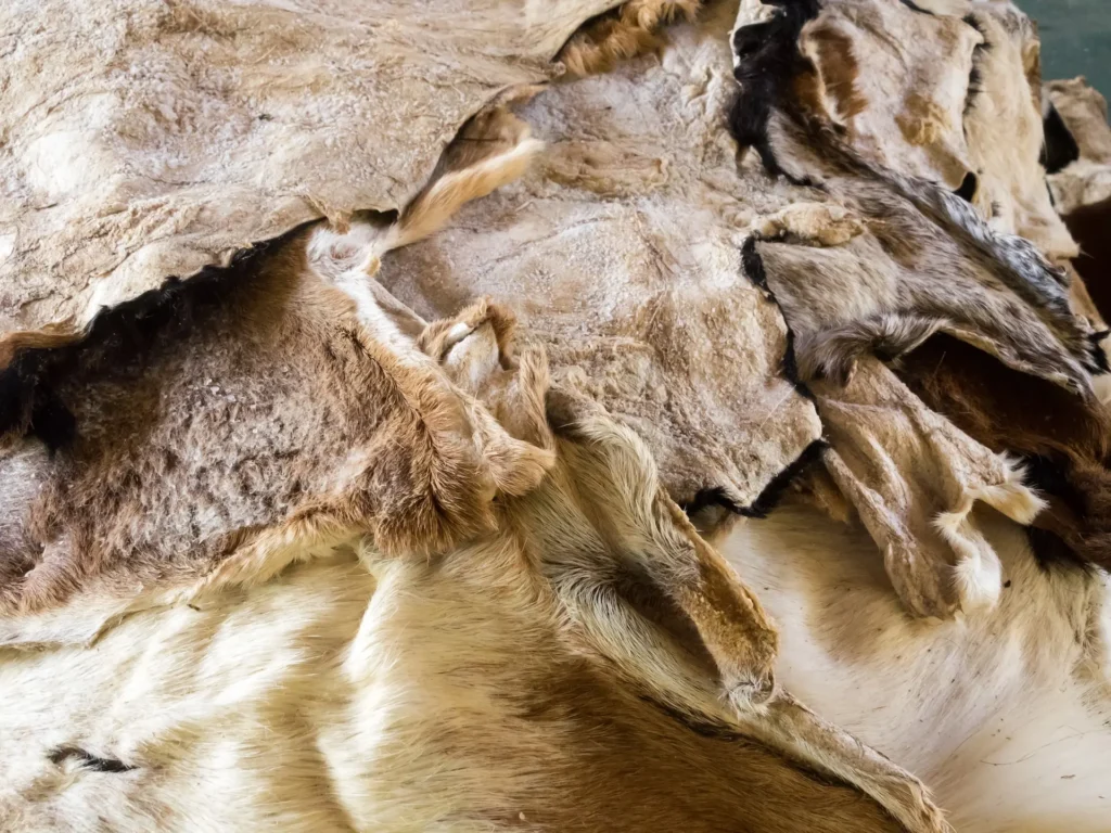 groot st martha landhuis a workshop for the disabl 2025 10 13 11 03 27 utc