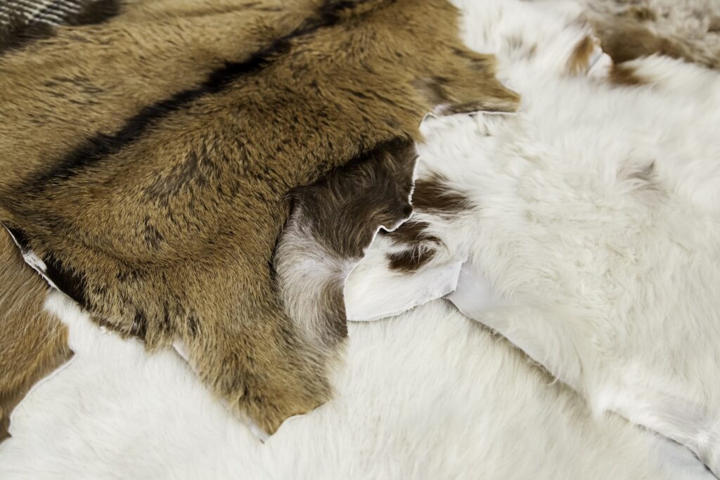 wild animal tanned leather detail of leather for 2025 10 12 07 37 09 utc